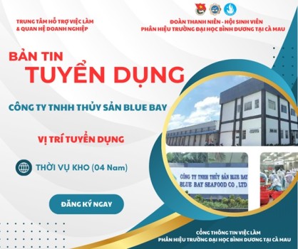 Công ty BLUEBAY 2