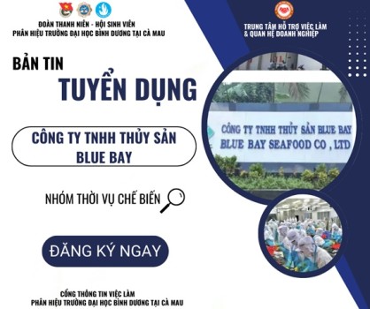 Công ty BLUEBAY 4