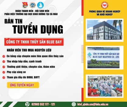 Công ty TNHH Blue Bay 1