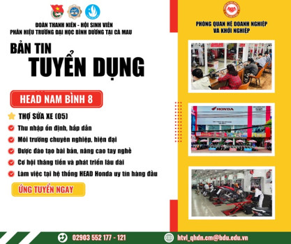 Head Nam Bình 8
