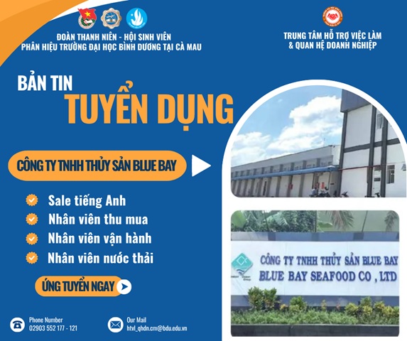Công ty Blue bay 19