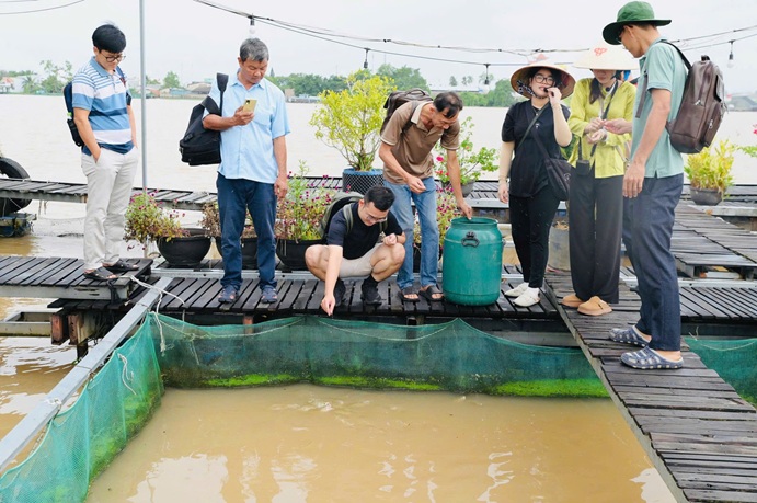 DÃ NGOẠI CỒN SƠN (30)