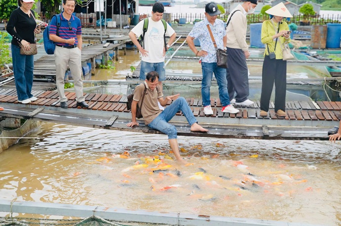 DÃ NGOẠI CỒN SƠN (5)