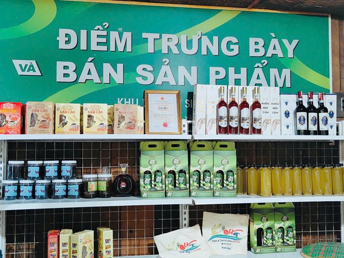 THỰC TẾ TẠI HƯƠNG TRÀM FARM (5)