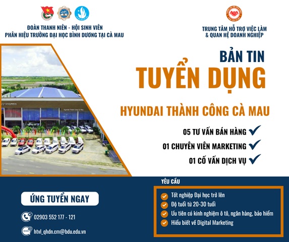Hyundai TC 2
