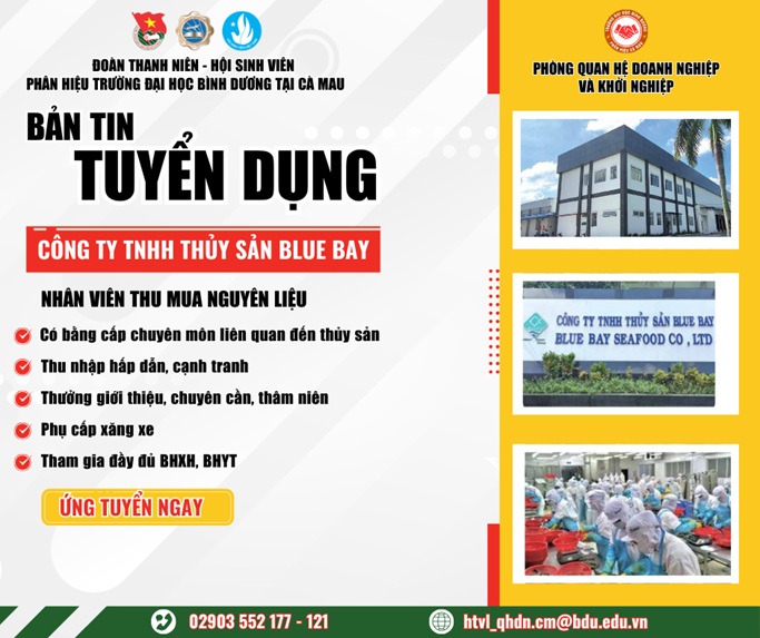 Công ty TNHH Blue Bay 1