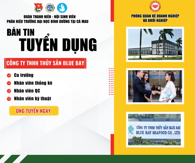 Công ty TNHH Blue Bay