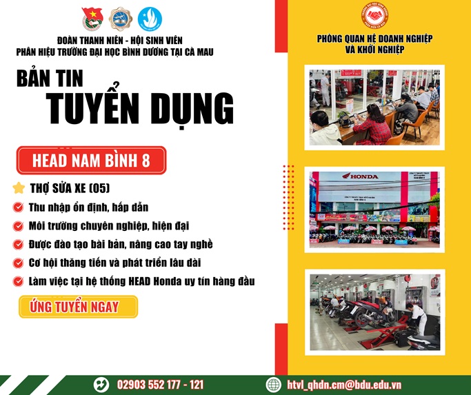 Head Nam Bình 8